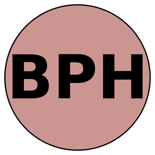 BridalPro Hub